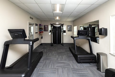 A gym with treadmills and elliptical machines.