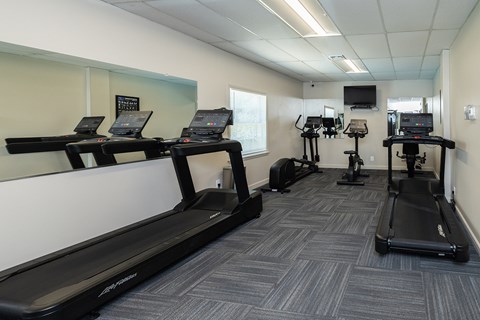 A gym with treadmills and elliptical machines.