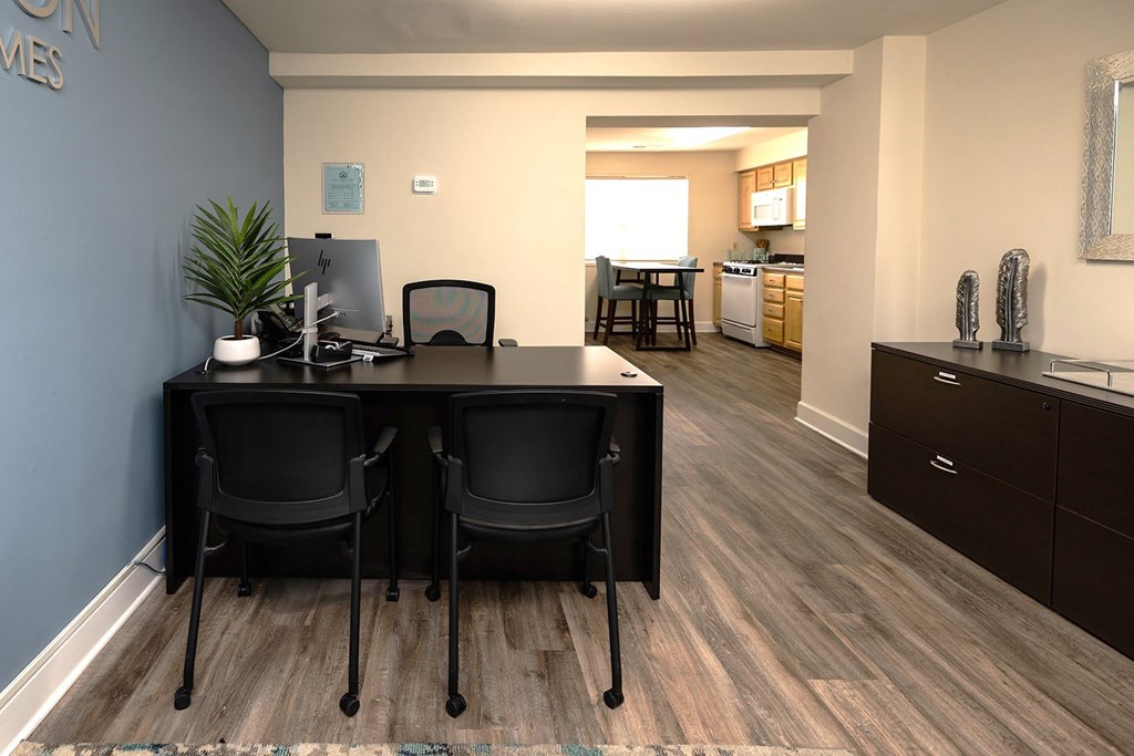 Two black chairs are placed in front of a desk with a laptop and a plant on it.