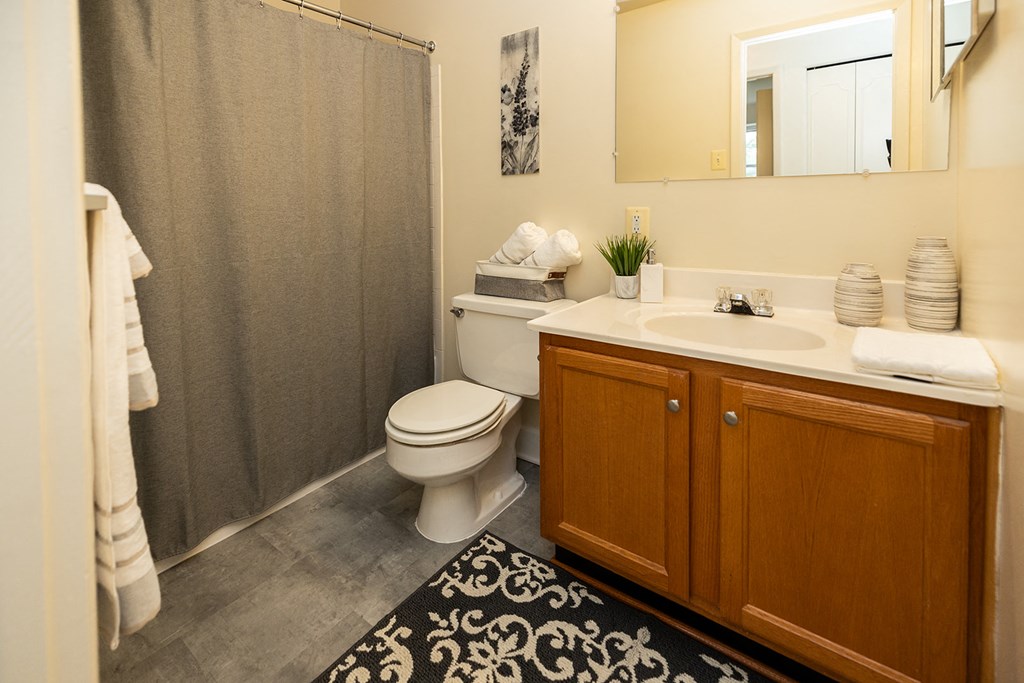 Secondary bathroom  at Woodridge Apartments in Randallstown, MD 21133.