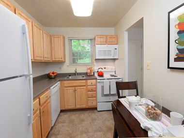 802 Kingston Court 3 Beds Apartment for Rent - Photo Gallery 5