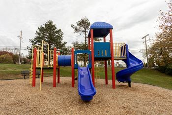 a playground with a blue slide and a red slide