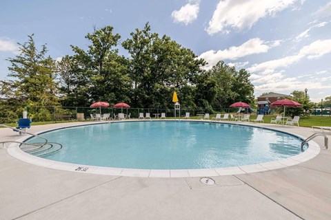 A large outdoor swimming pool surrounded by trees and lounge chairs.