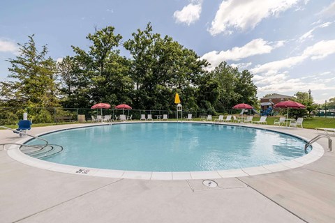 a resort style pool with chairs and umbrellas and trees