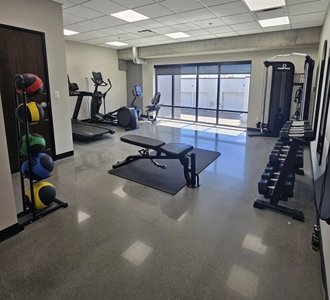 A gym with a variety of equipment including weights, treadmills, and a squat rack.