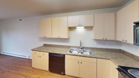 A kitchen with a sink and a dishwasher.