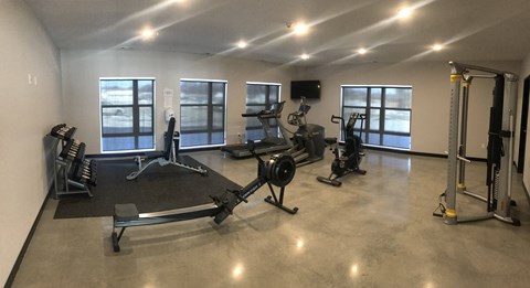Fitness