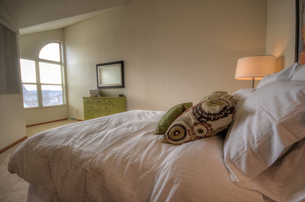 the master bedroom has a large bed and a view