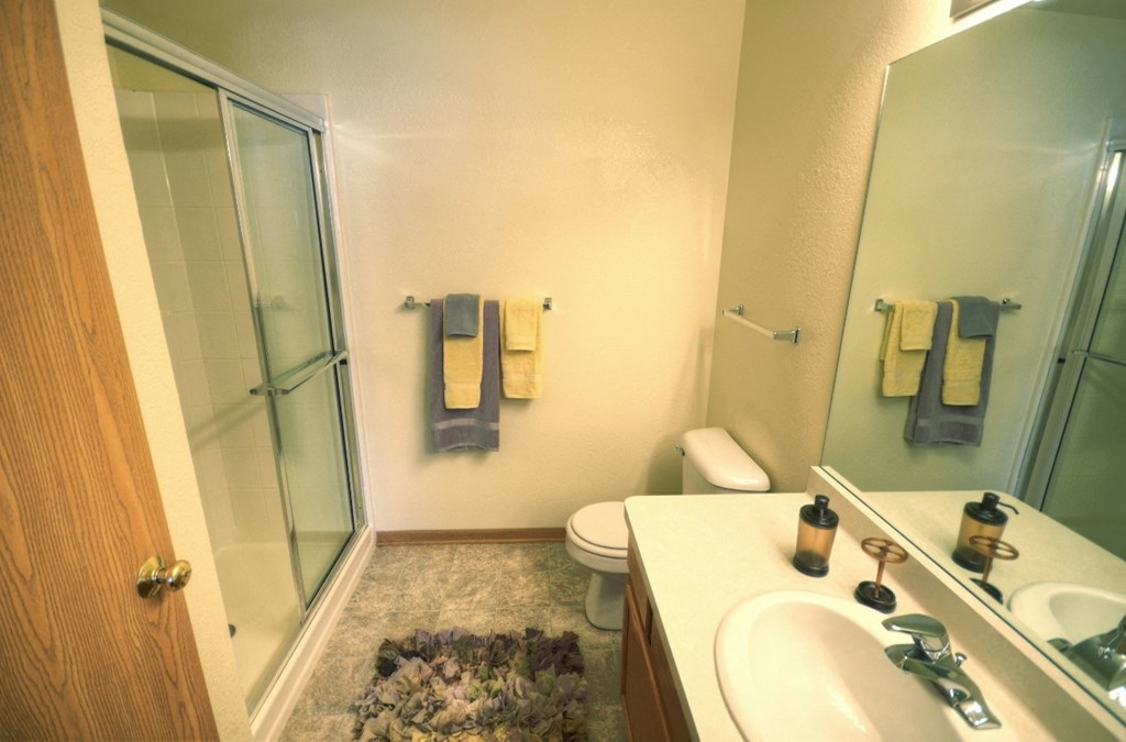 a bathroom with a shower toilet and sink and a mirror