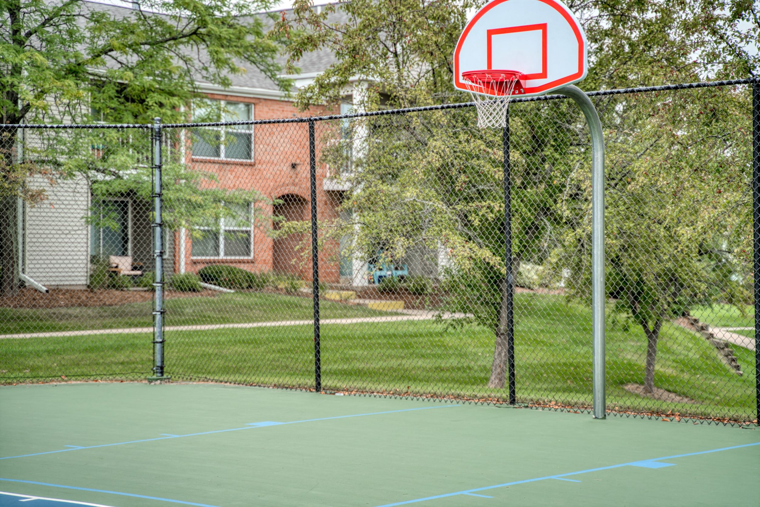 Basketball Court