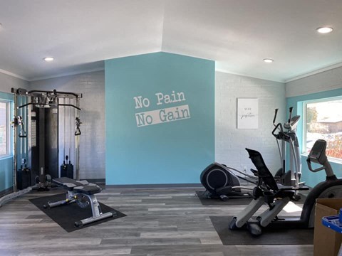 No Pain No Gain
