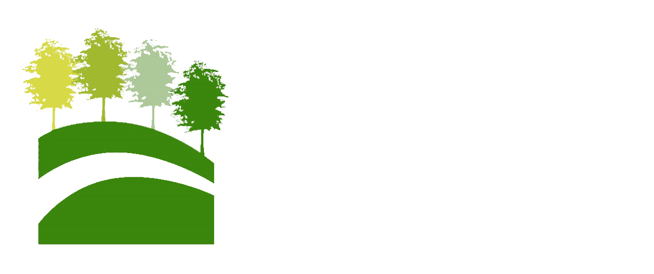 A logo with the text "The Meadows" and a graphic of a green hill with trees.