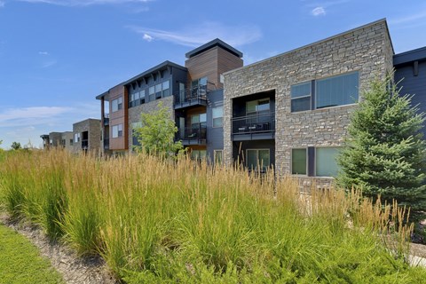 Landscaping and green spaces at Vela Meridian Apartments in Parker.