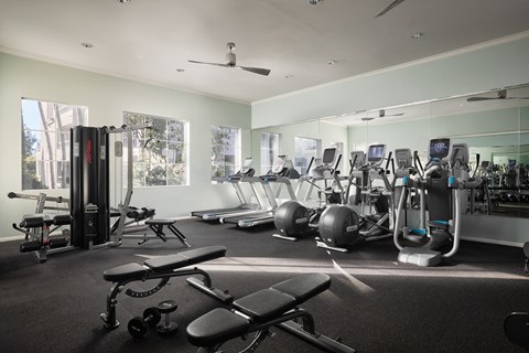 A gym with a variety of equipment including treadmills, weights, and exercise balls at Valentia Apartments in La Jolla.