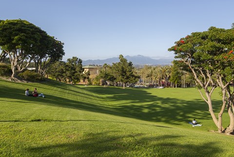 Nearby access to Grand Park at City Lights at Town Center Apartments in Aliso Viejo