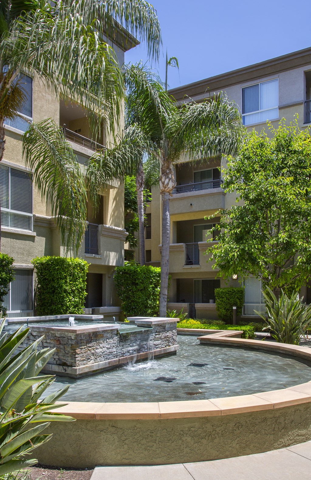 Courtyard with fountain and greenery at City Lights at Town Center Apartments in Aliso Viejo