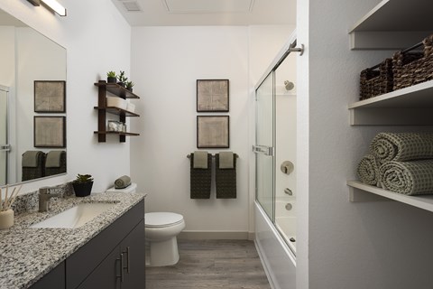 A bathroom with wood-style flooring, granite countertops, and storage at Lofts on Monaco Apartments in Denver.