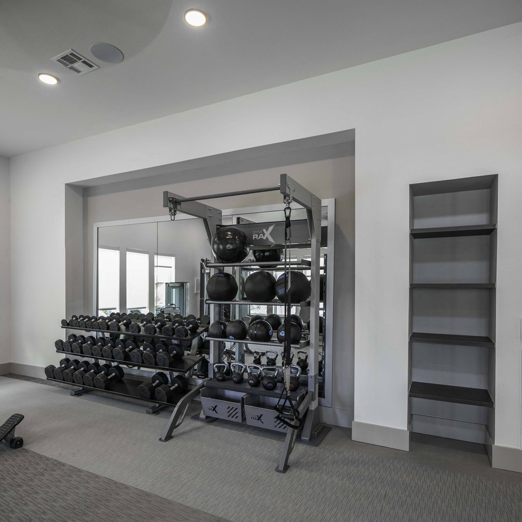 TRX system in fitness center