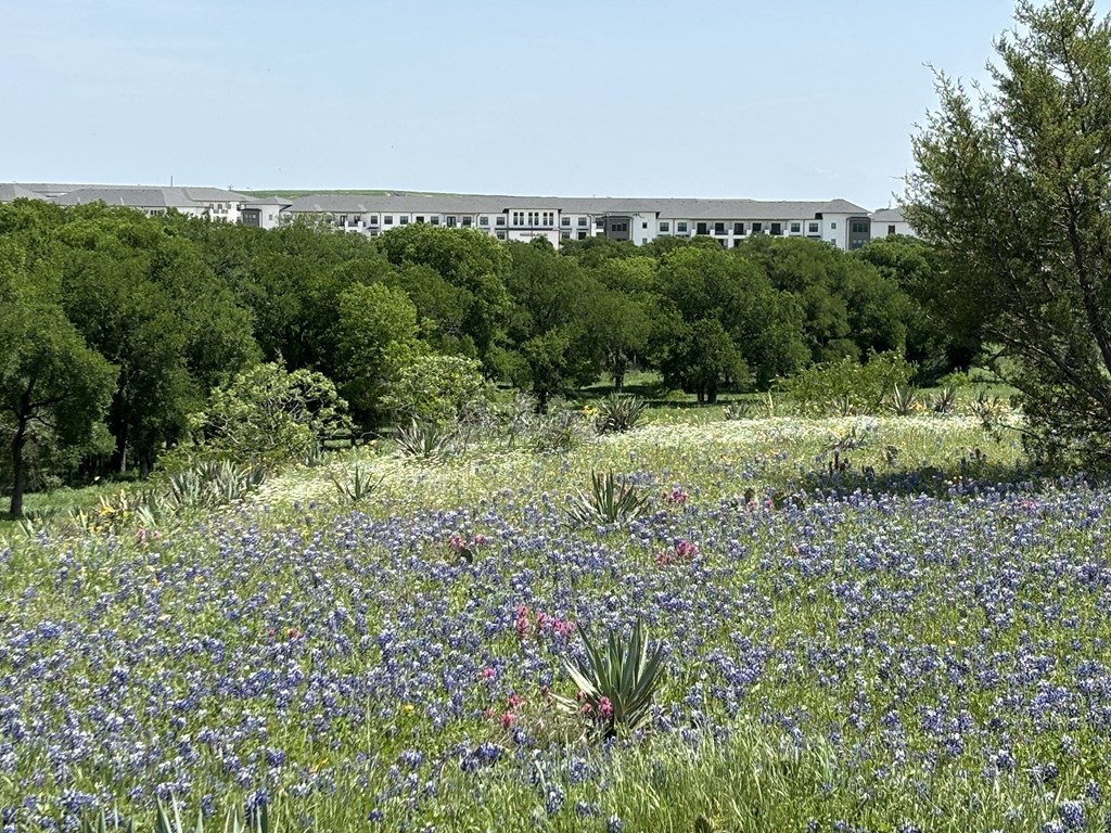 a field of flowers and trees with a modera walsh in the background