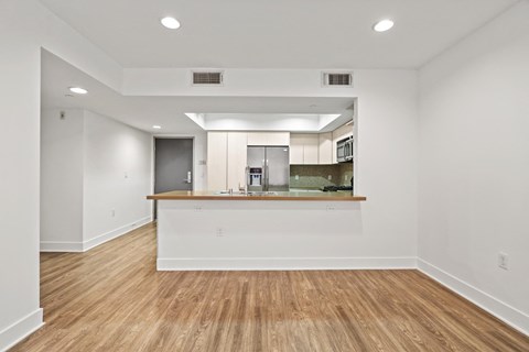 Dining and Kitchen Area with Countertop Bar