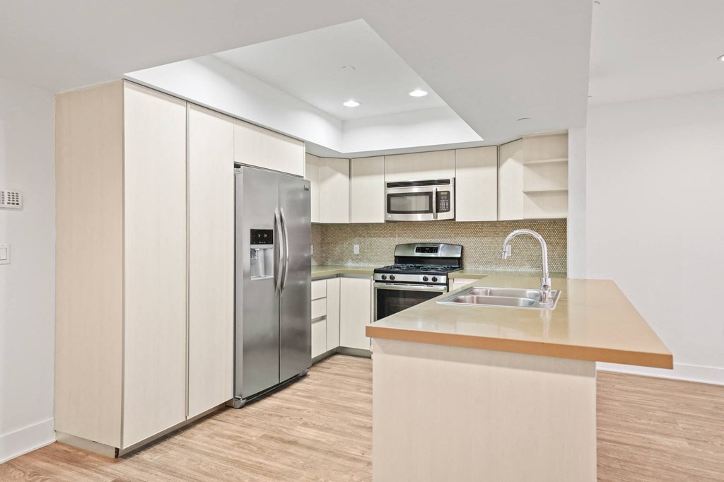 Kitchen with Energy-Efficient Stainless Appliances