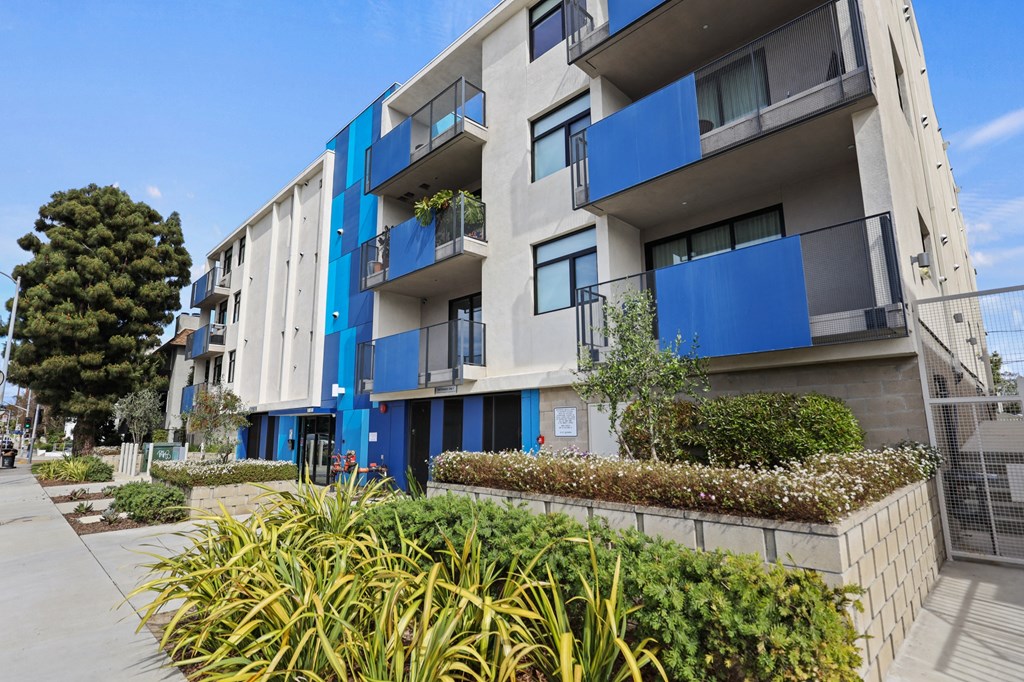 Side View of Palms Blue by Wiseman