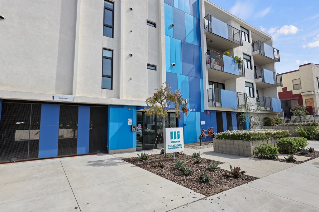 Palms Blue by Wiseman