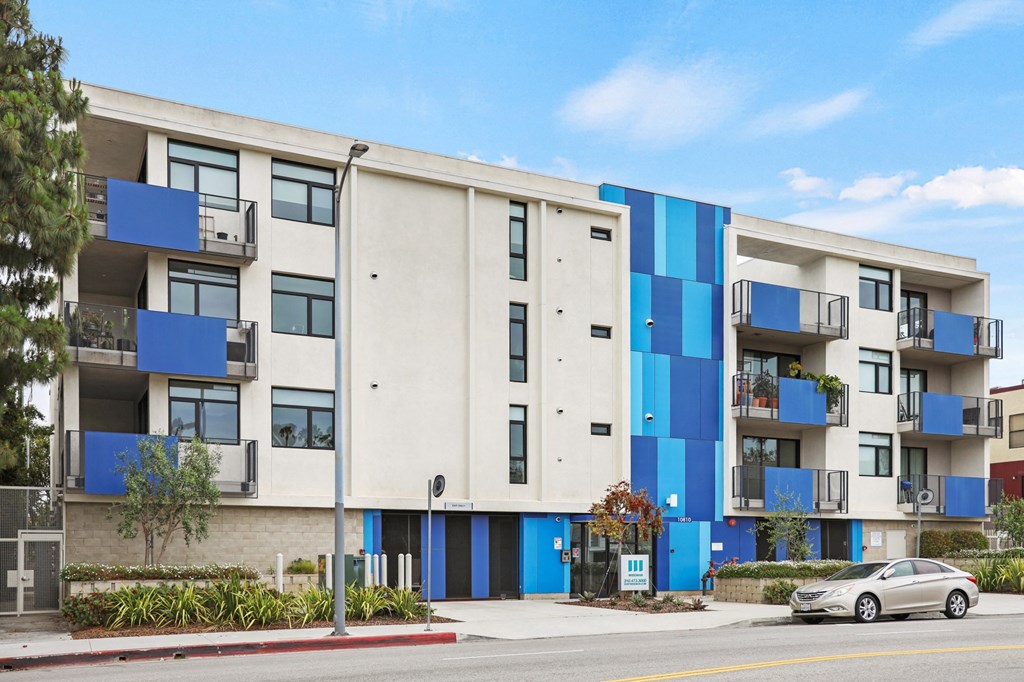 Palms Blue by Wiseman