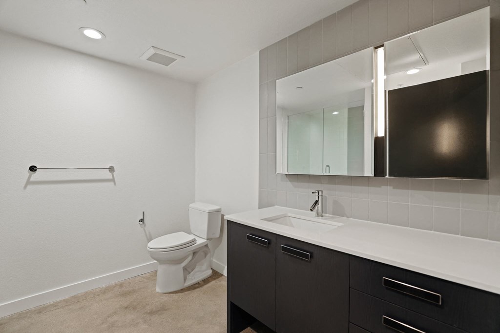 Large-Size Bathroom with Vanity Cabinet Storage