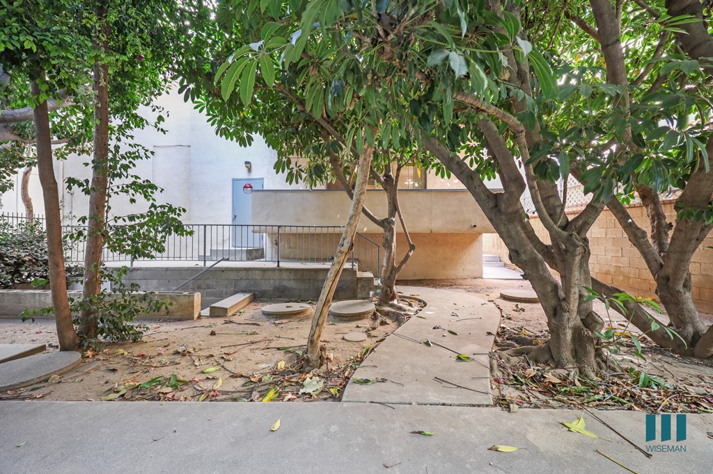 A tree in front of a building with a white door.