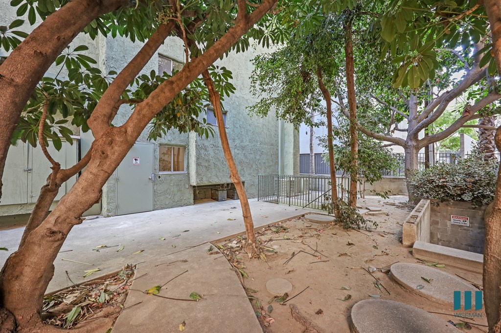 A tree-filled courtyard with a concrete floor and a small fountain.
