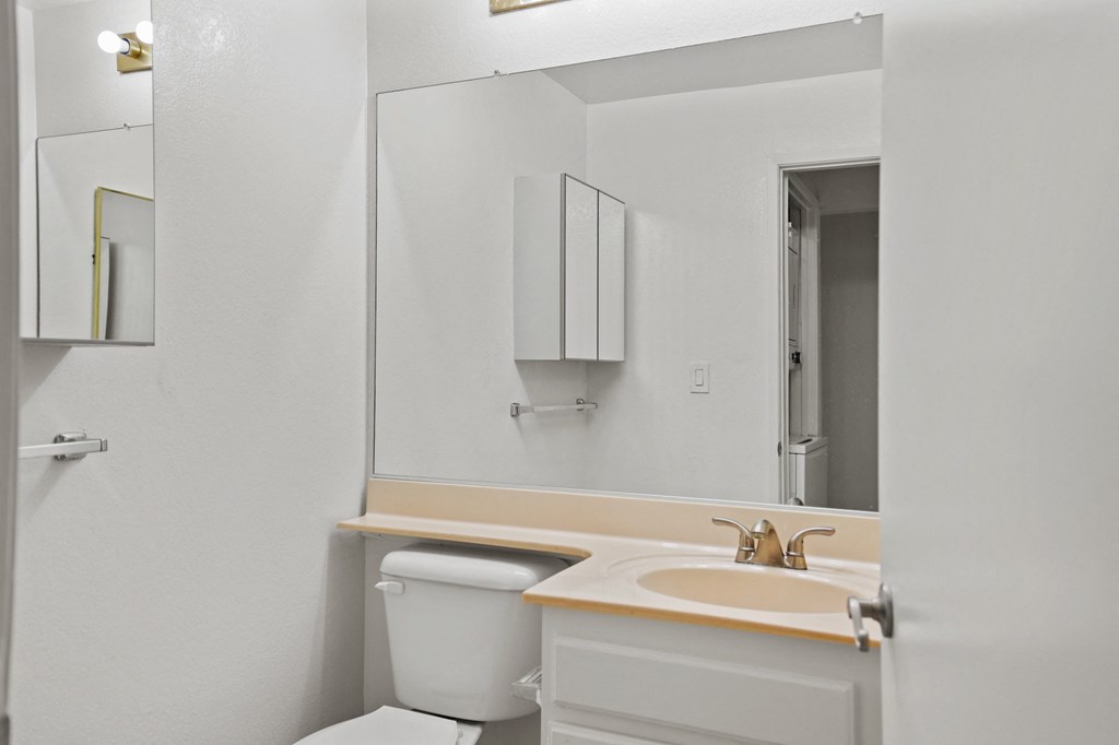 a bathroom with a sink and a toilet and a mirror
