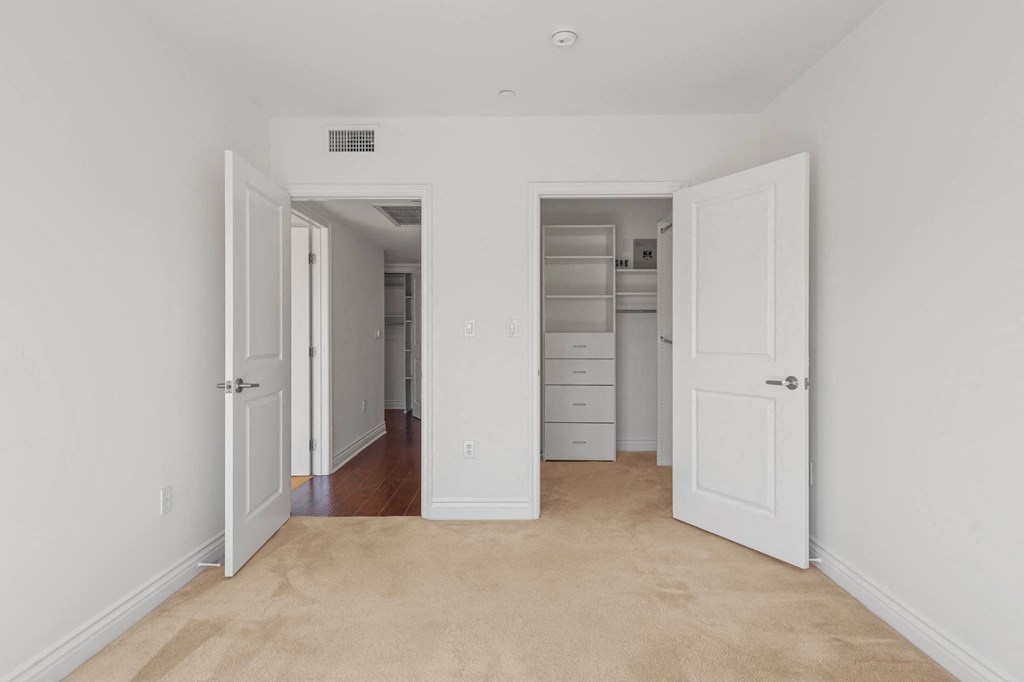 Master Bedroom with Walk-In Closet