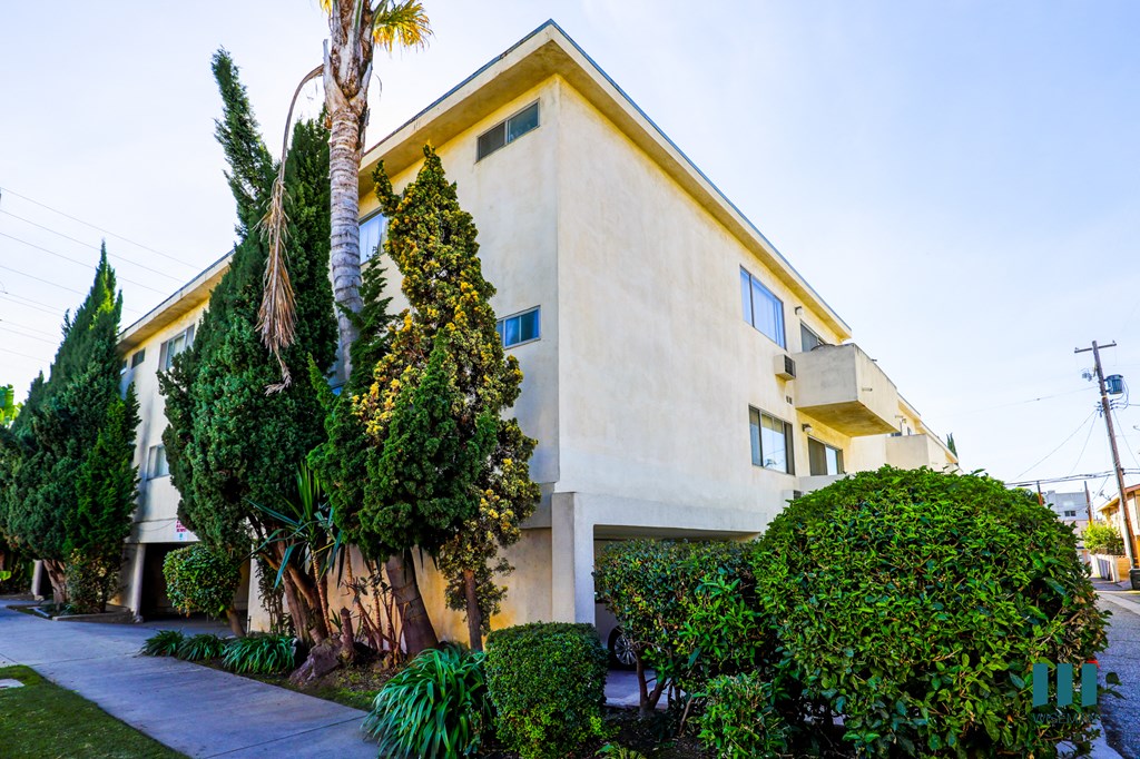 Sidewalk View of Ohio Sawtelle