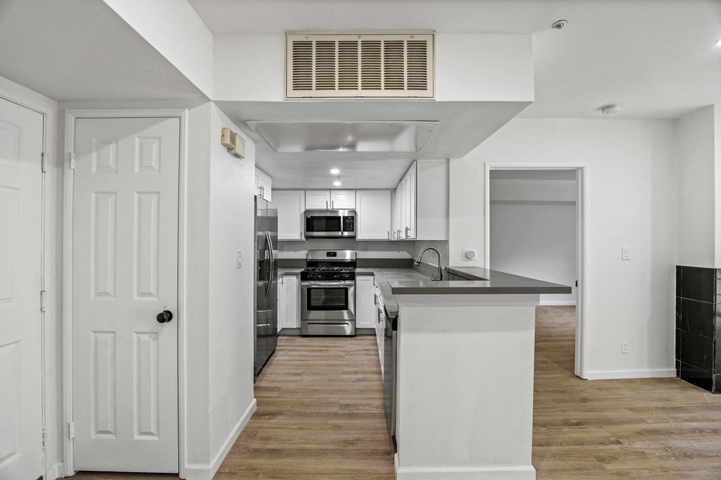 Front Entrance of Apartment with a Hall Closet, and an Open-Concept Kitchen with Energy-Efficient Appliances