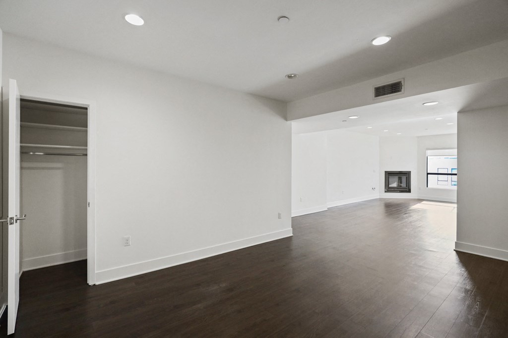 Spacious Dining and Living Room Area with a Hall Closet, Electric Fireplace and Vinyl Flooring