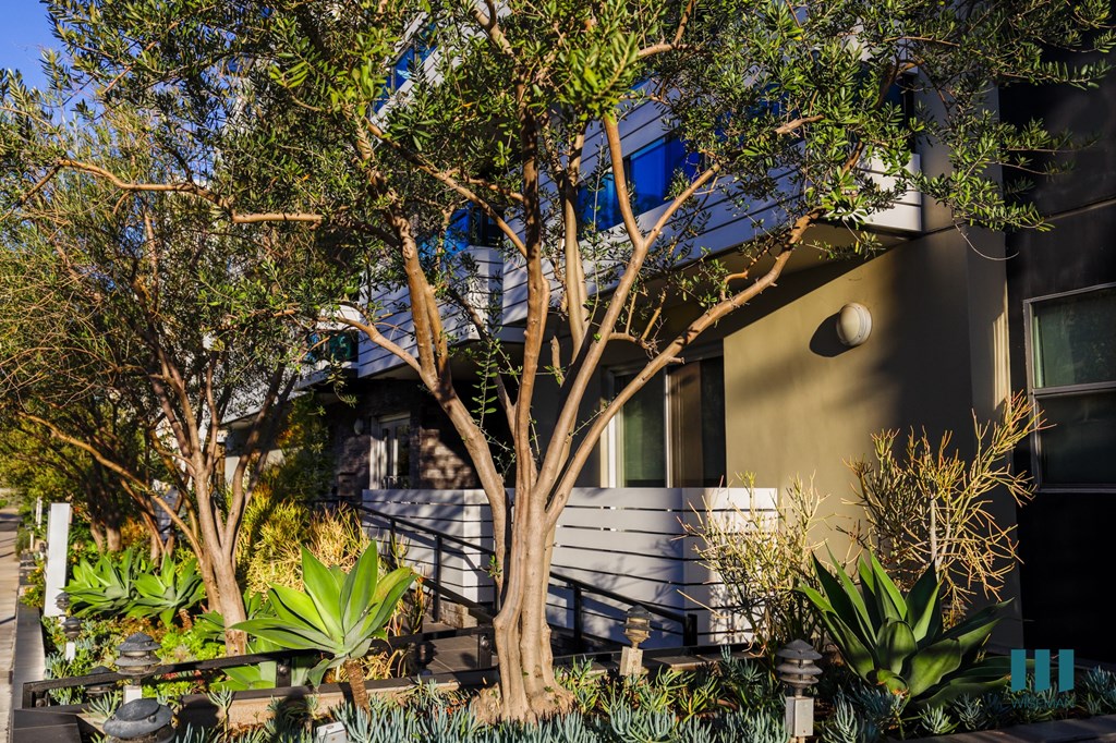 Walkway to Front Entrance of Dorothy Village by Wiseman