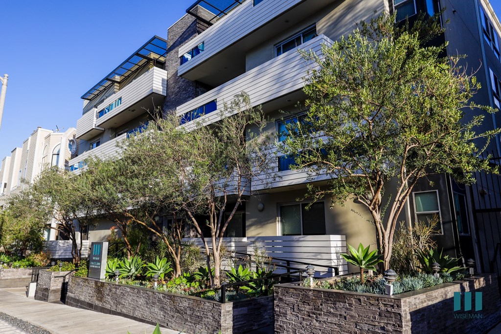 Dorothy Village by Wiseman