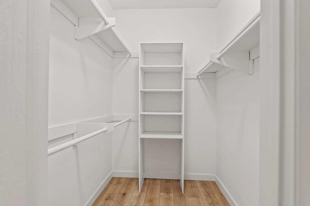 Walk-In Closet with Shelving
