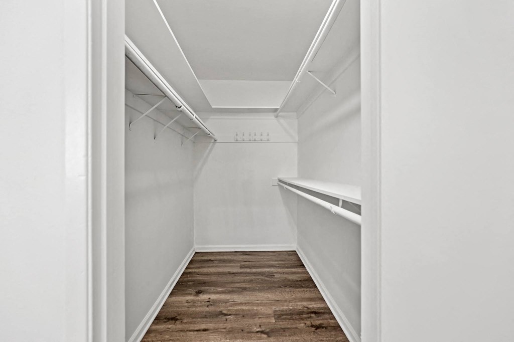 Large-Size Walk-In Closet with Shelving