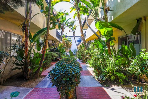 Interior Garden