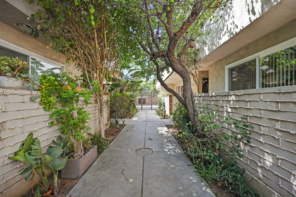 A tree grows out of a planter on a sidewalk.