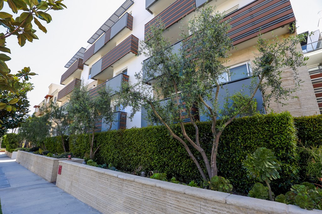 Courtyard Area of Lower Level