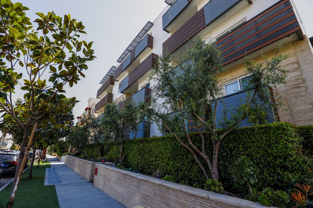 Sidewalk View of Westgate Wonder by Wiseman