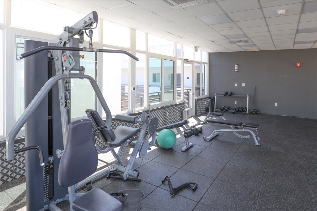 Full-Body Workout Equipment in the Fitness Center