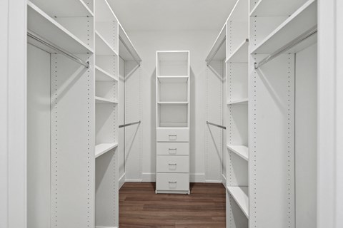 Walk-In Closet with Built-In Organizers