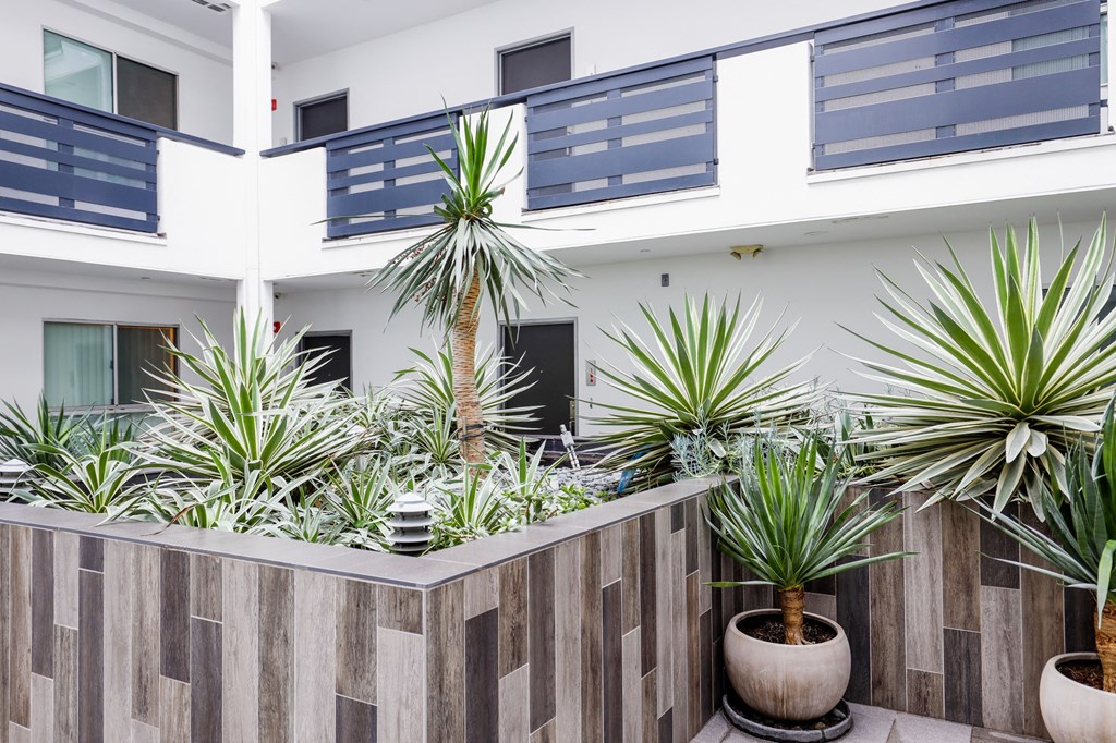 Lower Level of Courtyard