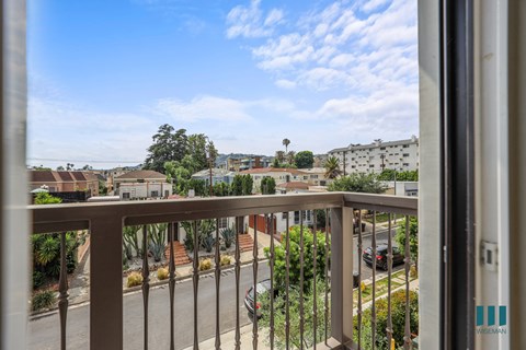 View from the Patio