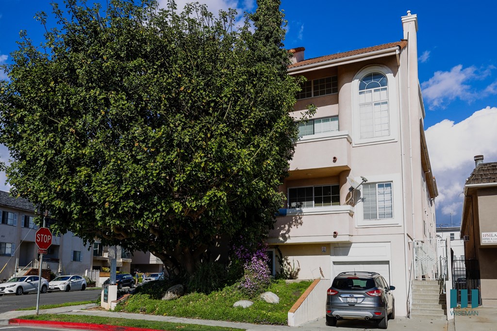 Side View of Wellesley Steps
