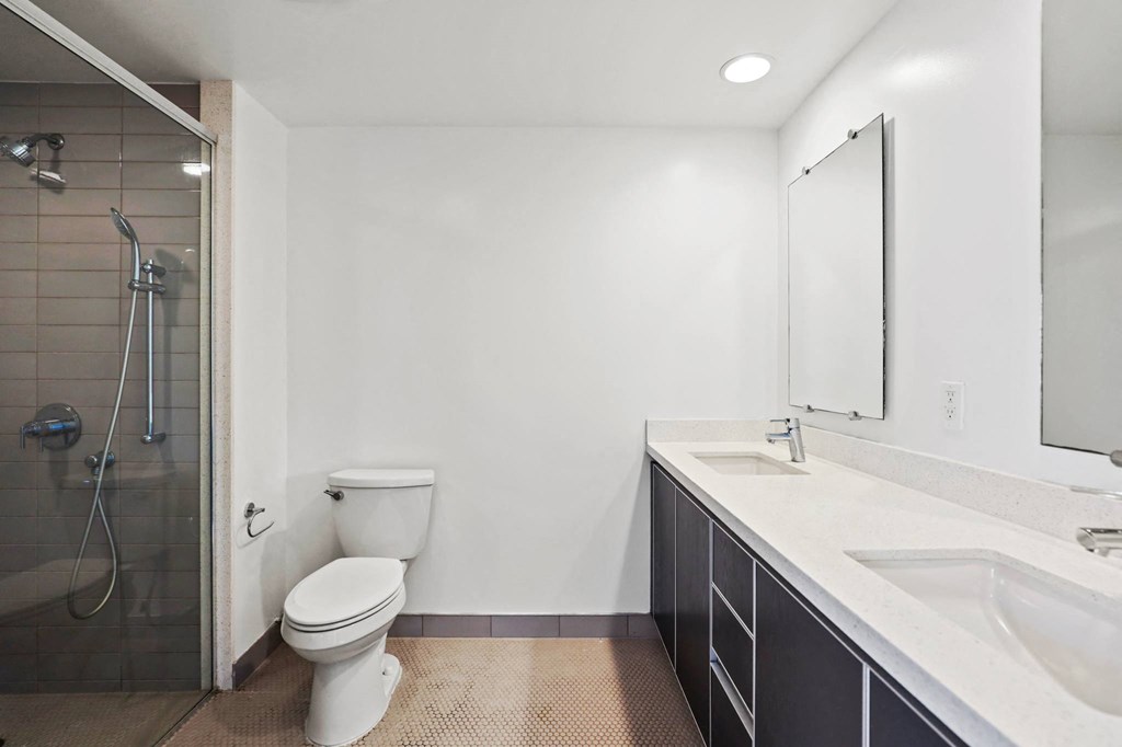 Bathroom with Double-Sink Vanity and Walk-In Shower